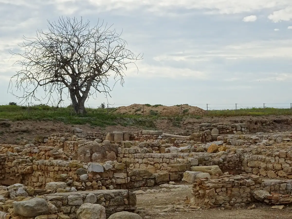 Vista de restos de una natatio romana con espacio para baños fríos