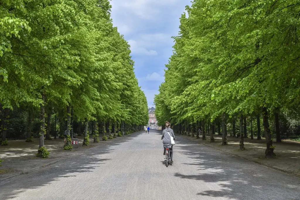 Ciclista anónimo rodando en solitario por una subida de parque urbano