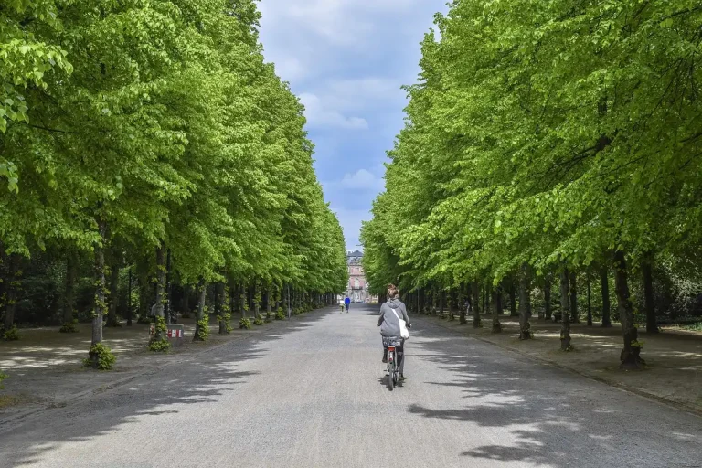 Ciclista anónimo rodando en solitario por una subida de parque urbano