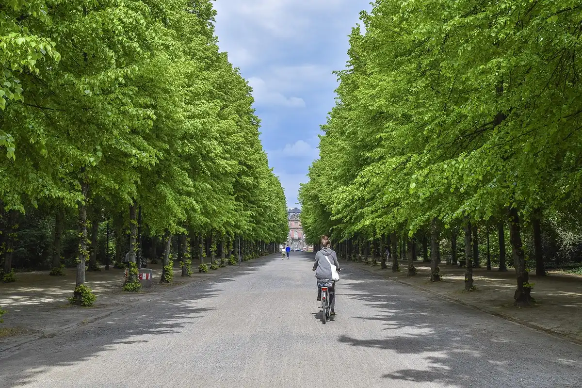 Ciclista anónimo rodando en solitario por una subida de parque urbano